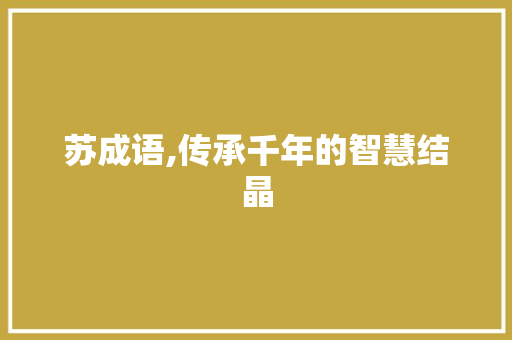 苏成语,传承千年的智慧结晶