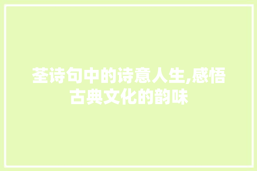 荃诗句中的诗意人生,感悟古典文化的韵味
