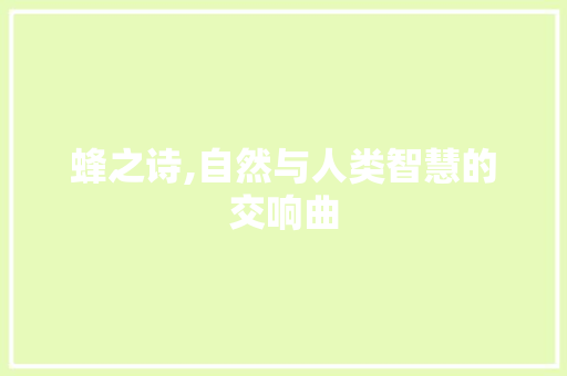 蜂之诗,自然与人类智慧的交响曲
