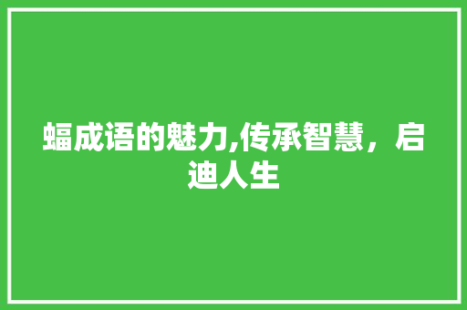 蝠成语的魅力,传承智慧，启迪人生