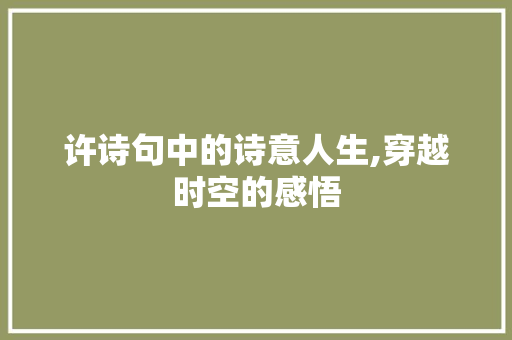 许诗句中的诗意人生,穿越时空的感悟