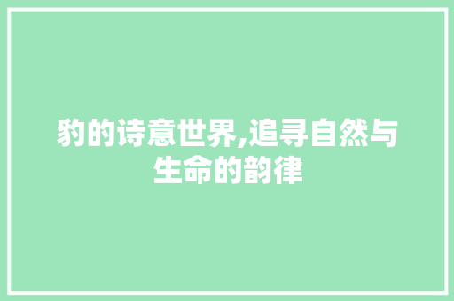 豹的诗意世界,追寻自然与生命的韵律