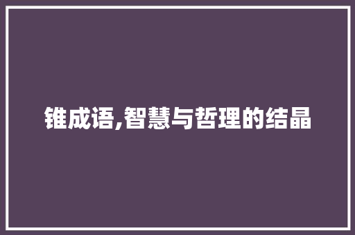 锥成语,智慧与哲理的结晶