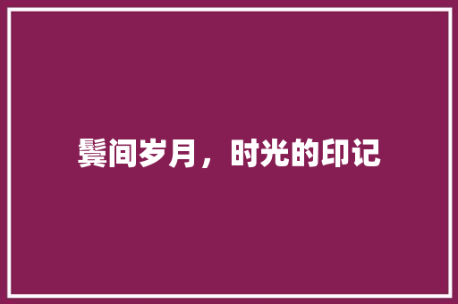 鬓间岁月，时光的印记