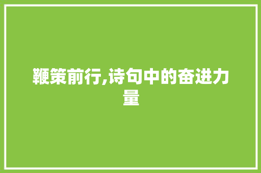 鞭策前行,诗句中的奋进力量