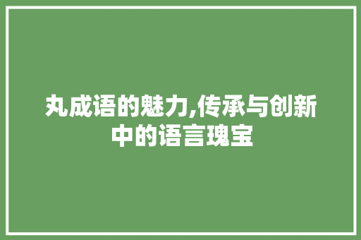 丸成语的魅力,传承与创新中的语言瑰宝
