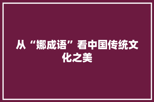 从“娜成语”看中国传统文化之美