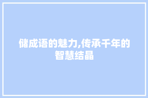 储成语的魅力,传承千年的智慧结晶 工作计划