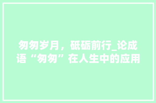 匆匆岁月，砥砺前行_论成语“匆匆”在人生中的应用与启示