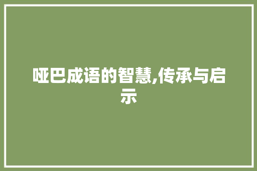 哑巴成语的智慧,传承与启示