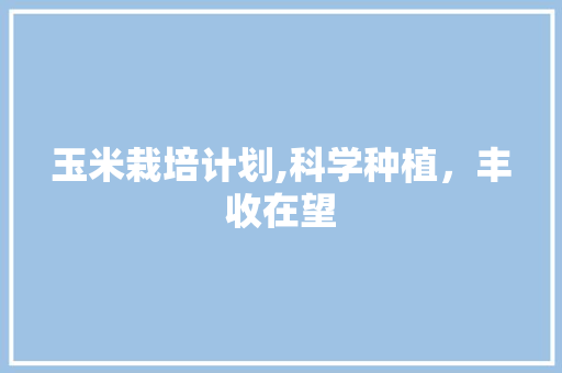 玉米栽培计划,科学种植，丰收在望