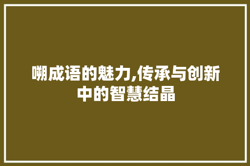 嗍成语的魅力,传承与创新中的智慧结晶