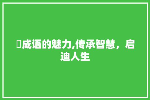 噐成语的魅力,传承智慧，启迪人生