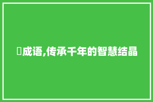 埑成语,传承千年的智慧结晶