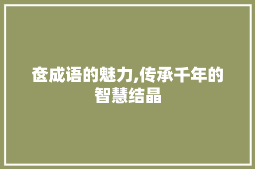 奁成语的魅力,传承千年的智慧结晶