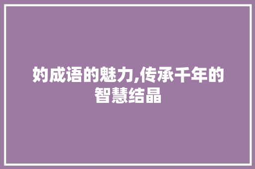 妁成语的魅力,传承千年的智慧结晶