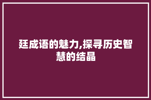 廷成语的魅力,探寻历史智慧的结晶