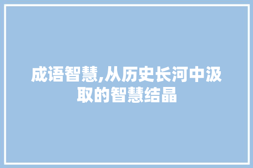 成语智慧,从历史长河中汲取的智慧结晶