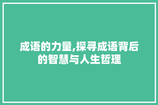 成语的力量,探寻成语背后的智慧与人生哲理