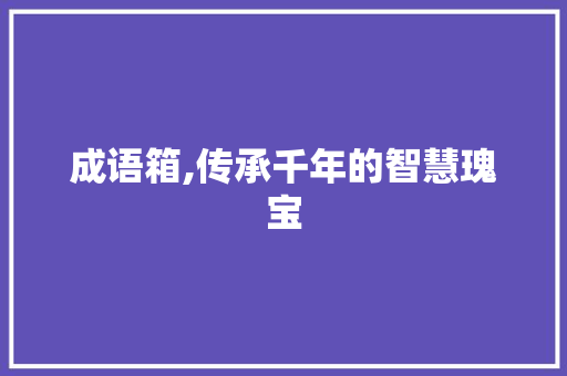 成语箱,传承千年的智慧瑰宝