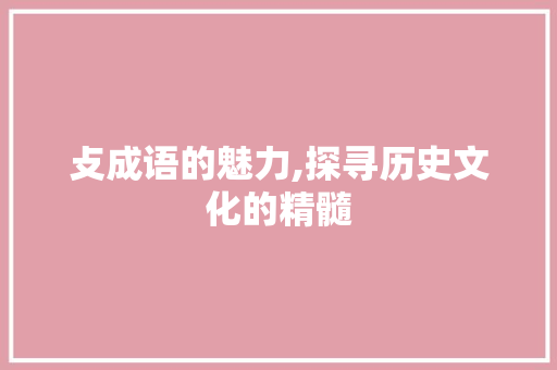 攴成语的魅力,探寻历史文化的精髓