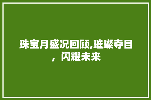 珠宝月盛况回顾,璀璨夺目，闪耀未来