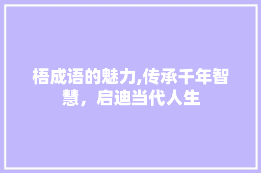 梧成语的魅力,传承千年智慧，启迪当代人生