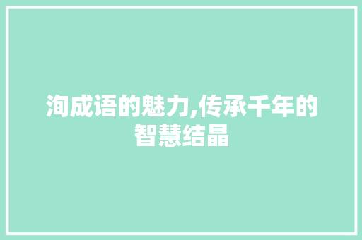 洵成语的魅力,传承千年的智慧结晶