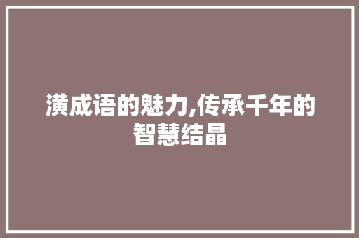潢成语的魅力,传承千年的智慧结晶