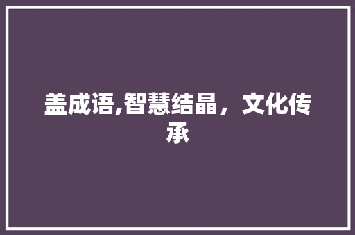 盖成语,智慧结晶，文化传承