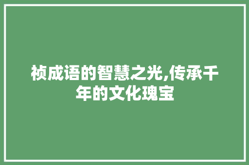 祯成语的智慧之光,传承千年的文化瑰宝