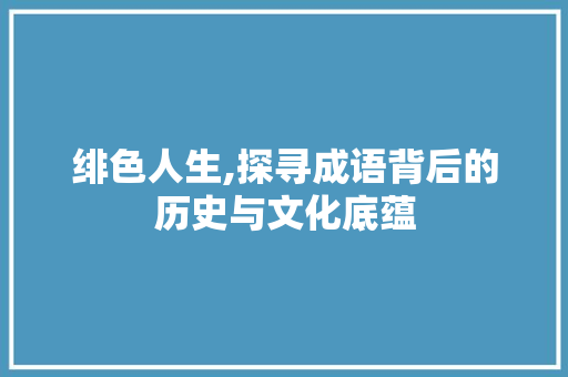 绯色人生,探寻成语背后的历史与文化底蕴 工作总结