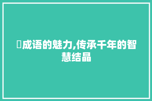 羮成语的魅力,传承千年的智慧结晶