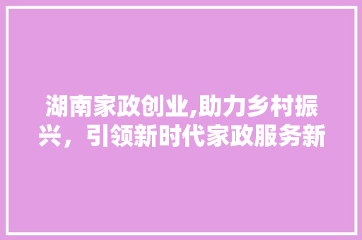 湖南家政创业,助力乡村振兴，引领新时代家政服务新篇章