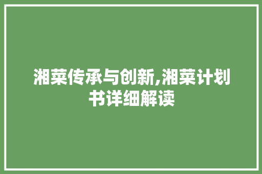 湘菜传承与创新,湘菜计划书详细解读