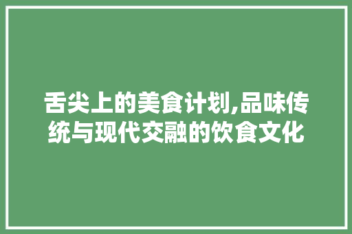 舌尖上的美食计划,品味传统与现代交融的饮食文化