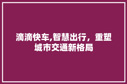 滴滴快车,智慧出行，重塑城市交通新格局 名人名言