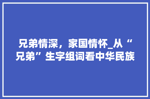 兄弟情深，家国情怀_从“兄弟”生字组词看中华民族的家族观念_兄弟的生字组词