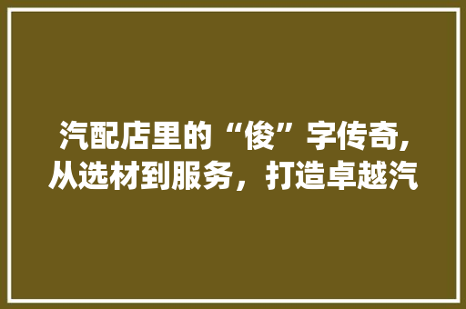 汽配店里的“俊”字传奇,从选材到服务，打造卓越汽车配件体验_汽配店俊字组词