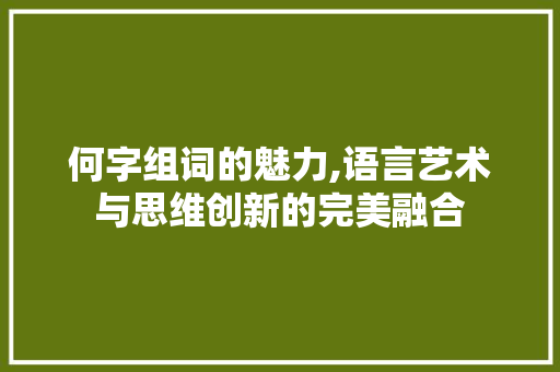 何字组词的魅力,语言艺术与思维创新的完美融合