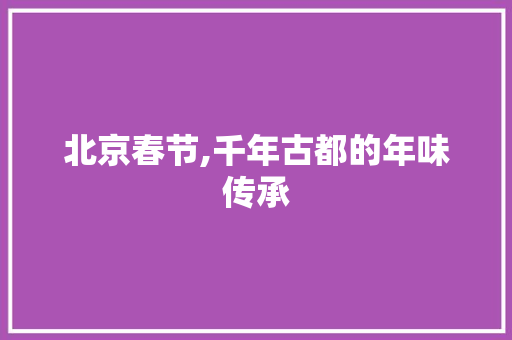 北京春节,千年古都的年味传承