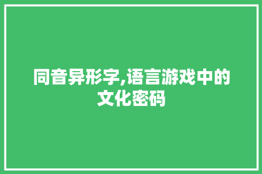 同音异形字,语言游戏中的文化密码
