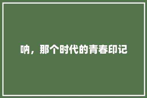 呐，那个时代的青春印记
