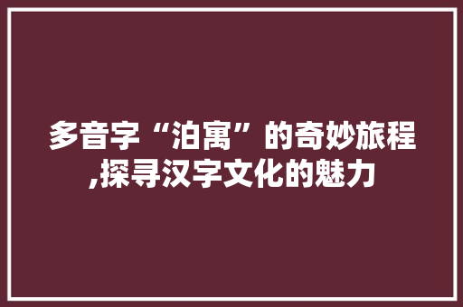多音字“泊寓”的奇妙旅程,探寻汉字文化的魅力