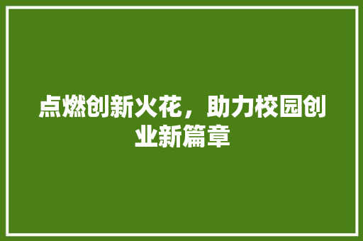点燃创新火花，助力校园创业新篇章 合同范本