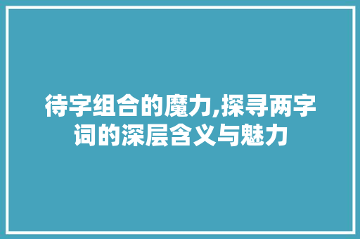 待字组合的魔力,探寻两字词的深层含义与魅力