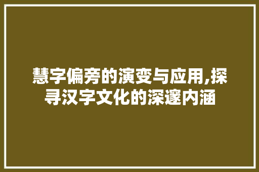 慧字偏旁的演变与应用,探寻汉字文化的深邃内涵