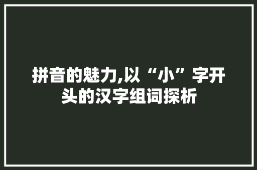 拼音的魅力,以“小”字开头的汉字组词探析