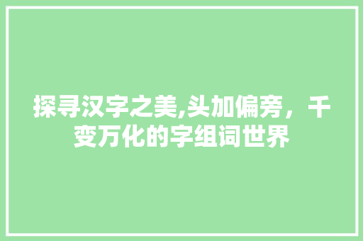 探寻汉字之美,头加偏旁，千变万化的字组词世界