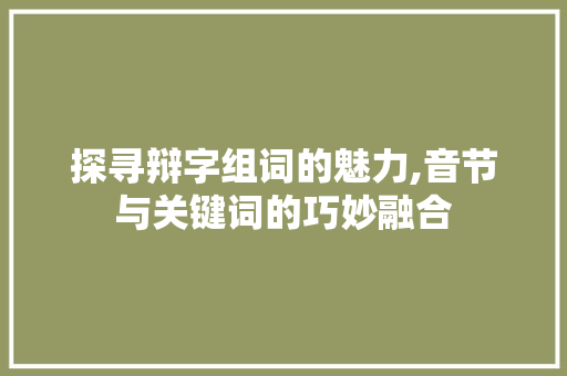 探寻辩字组词的魅力,音节与关键词的巧妙融合